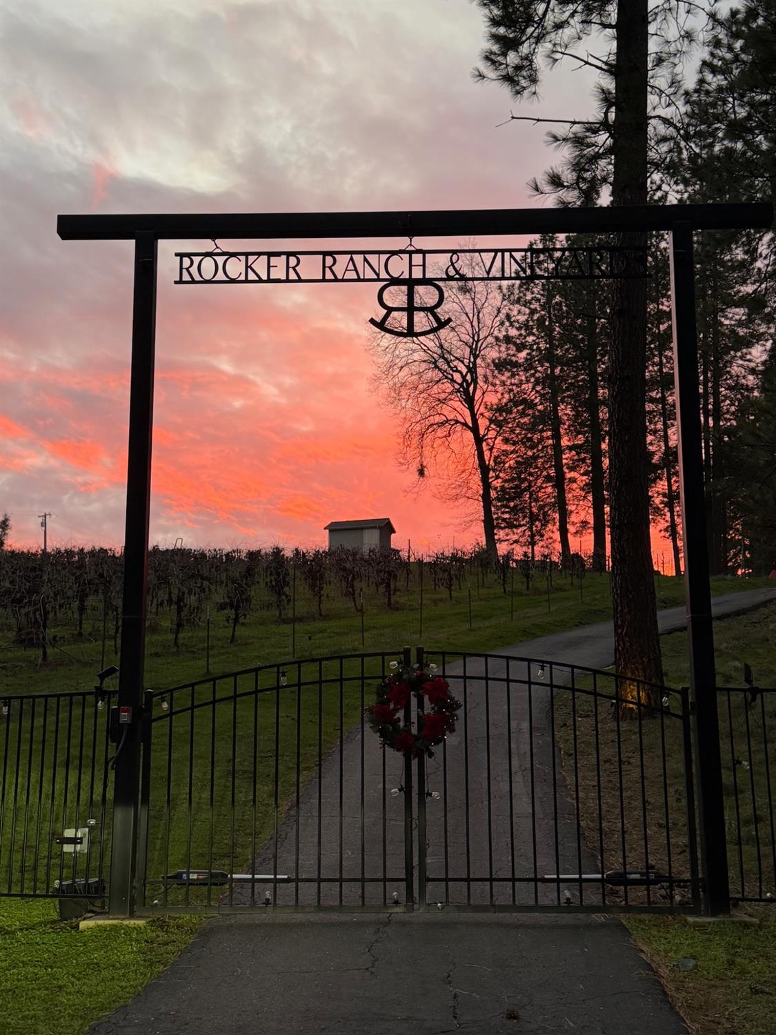 17476 Fiddletown Road Fiddletown, CA 95629 - Photo 6 of 82