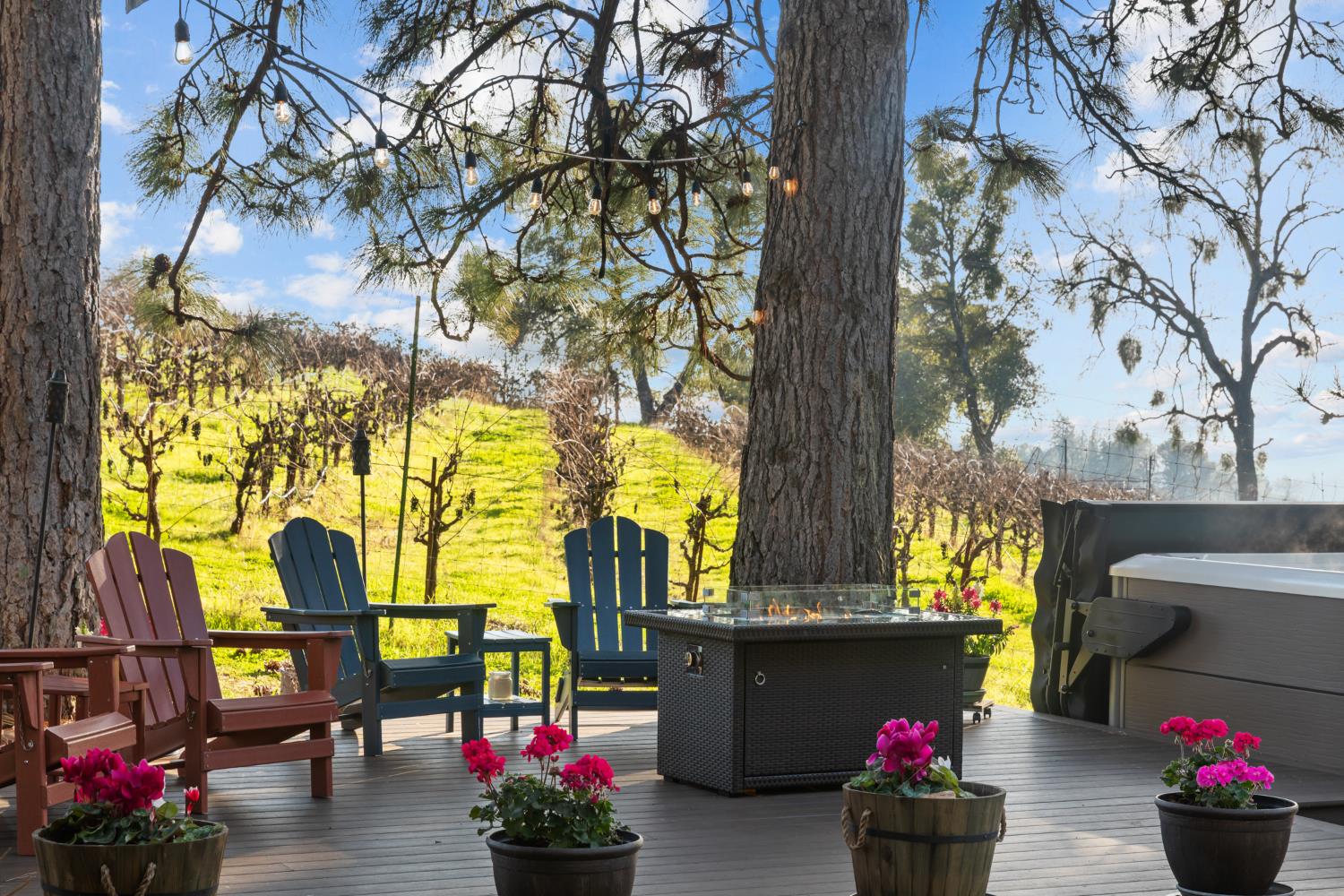 17476 Fiddletown Road Fiddletown, CA 95629 - Photo 61 of 82