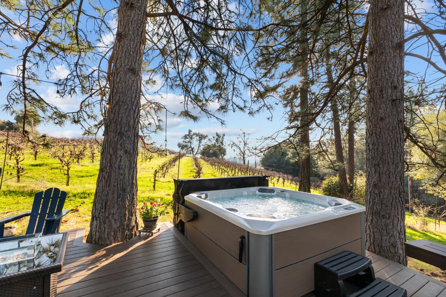 17476 Fiddletown Road Fiddletown, CA 95629 - Photo 62 of 82