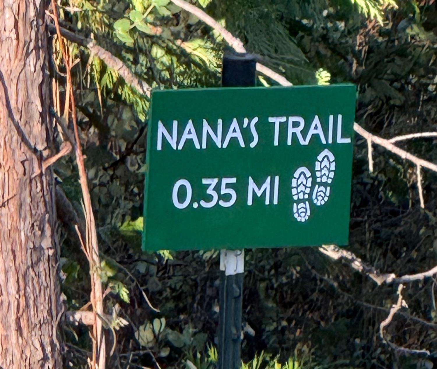 17476 Fiddletown Road Fiddletown, CA 95629 - Photo 71 of 82 One of two walking trails on the property!