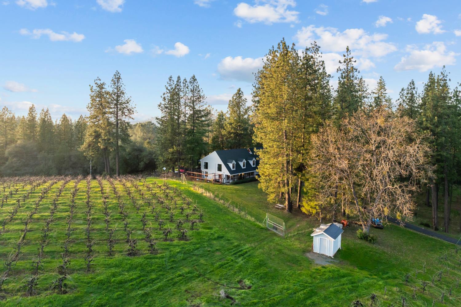 17476 Fiddletown Road Fiddletown, CA 95629 - Photo 73 of 82