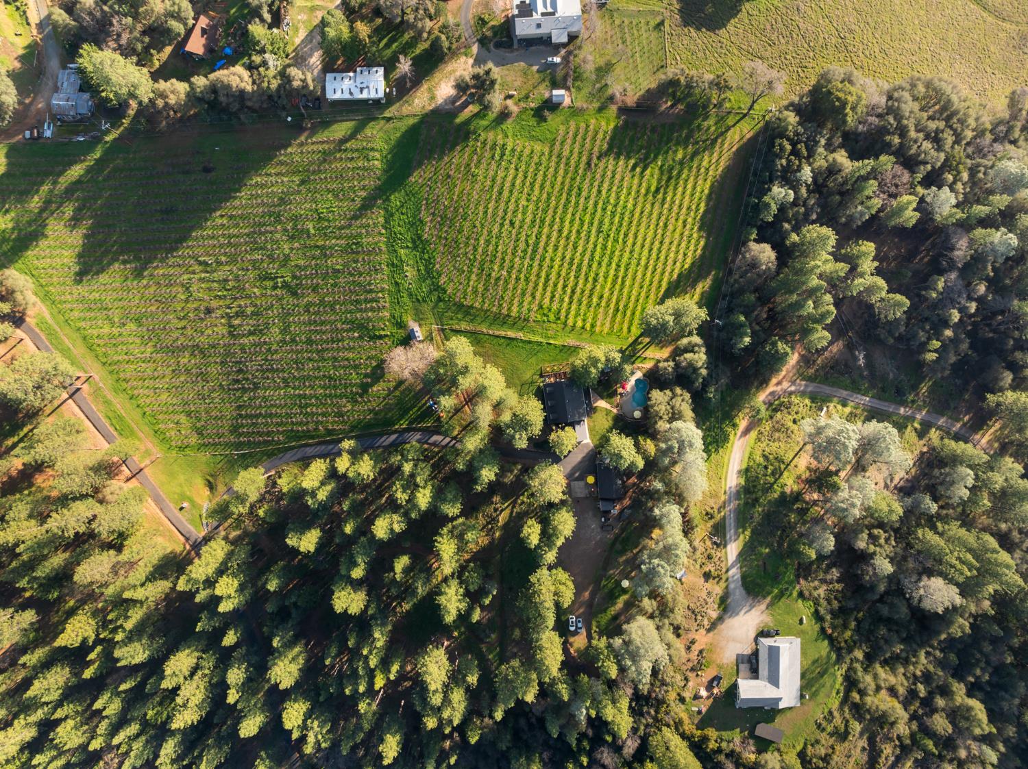 17476 Fiddletown Road Fiddletown, CA 95629 - Photo 77 of 82