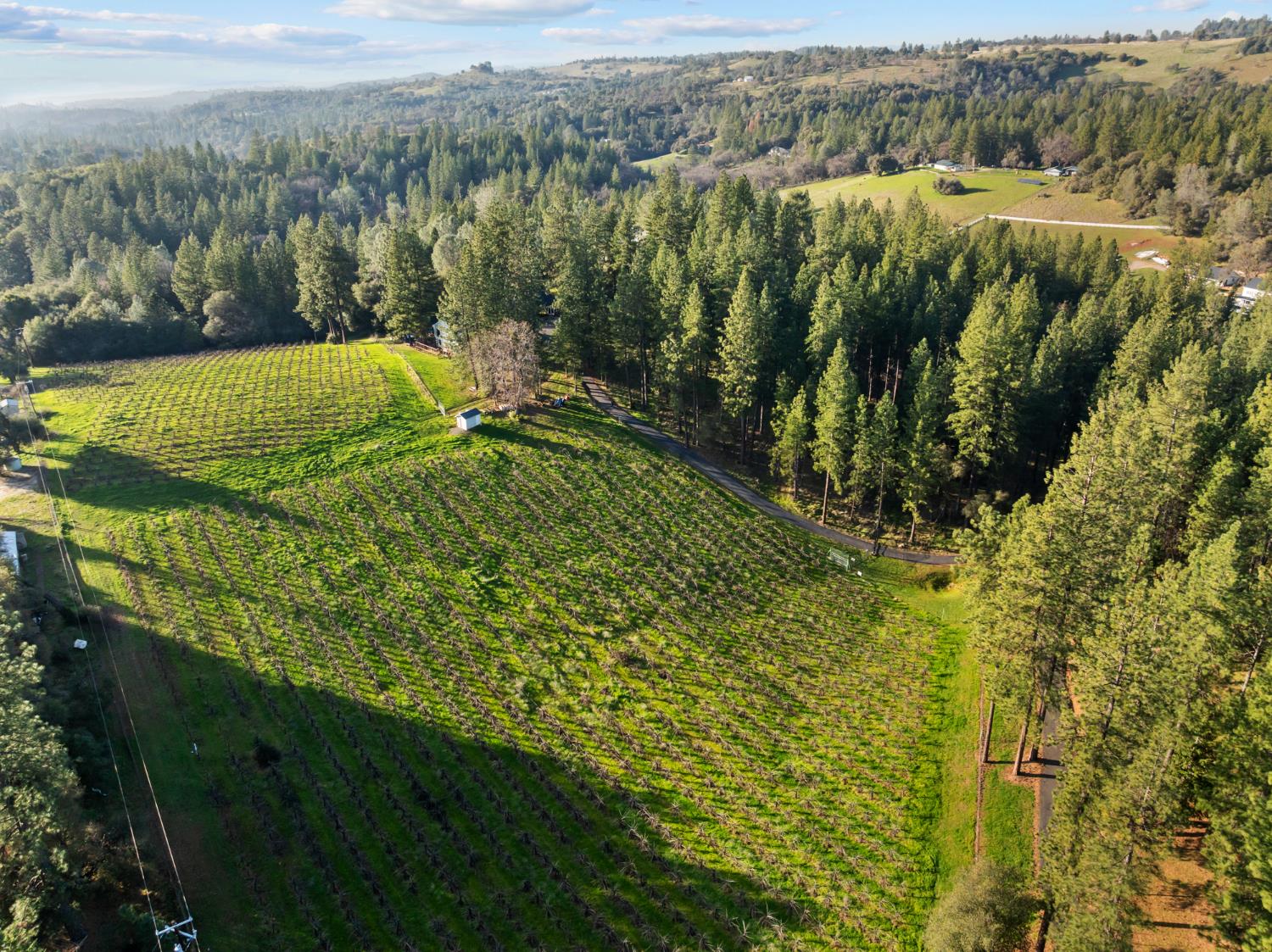 17476 Fiddletown Road Fiddletown, CA 95629 - Photo 78 of 82