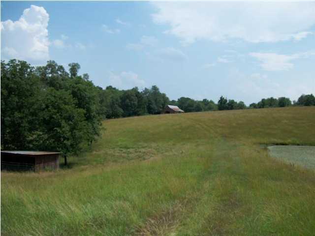10442 Sims-Harris Road Ooltewah, TN 37363 - Photo 20 of 22 Additional Photo
