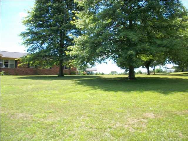 10442 Sims-Harris Road Ooltewah, TN 37363 - Photo 3 of 22 Additional Photo