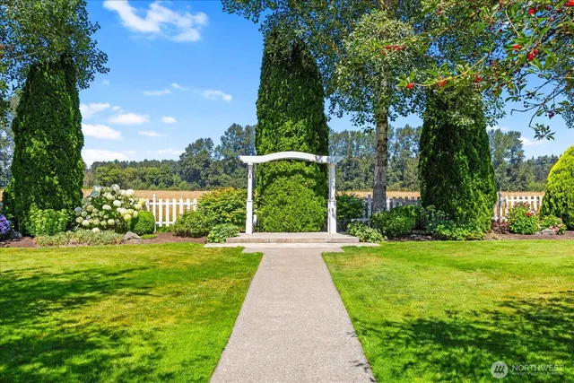 a view of a yard with plants and large trees