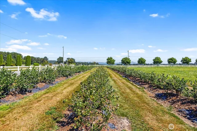 a view of a garden with a building in the background