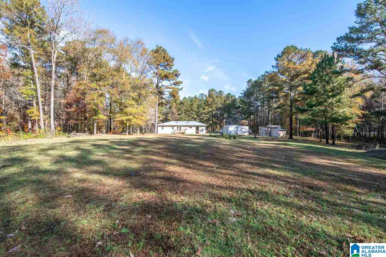 481 Highway 45 Sterrett, AL 35147 - Photo 3 of 41