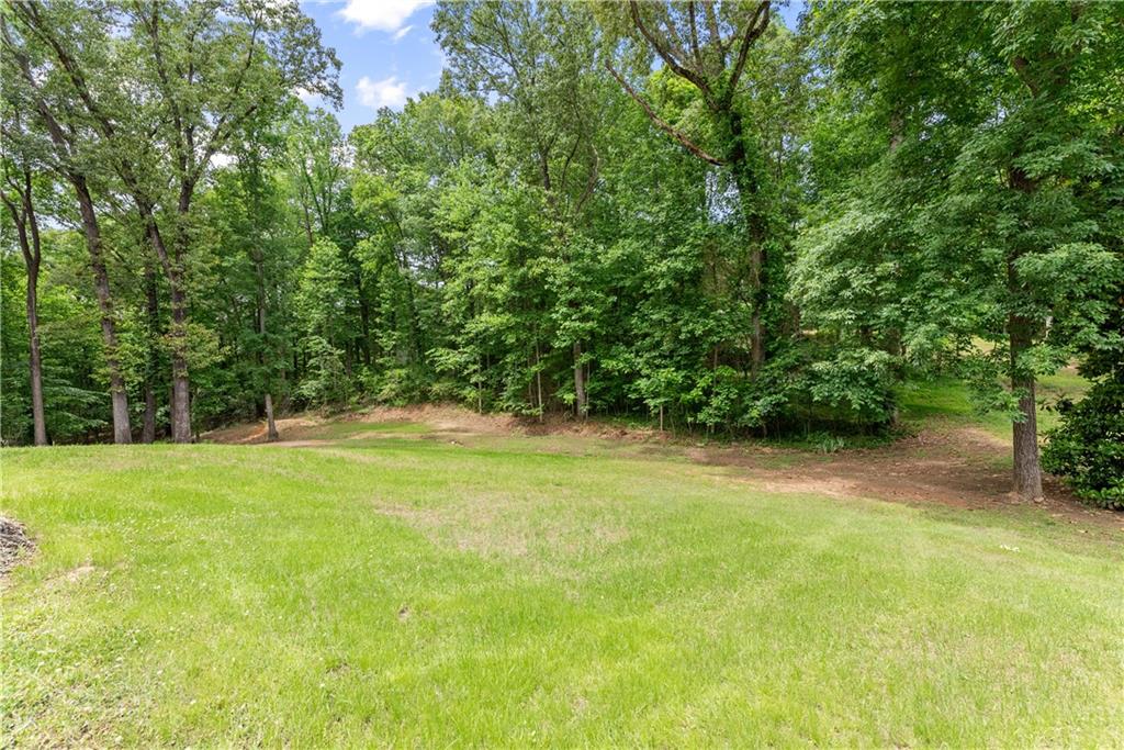 1405 Tapp Wood Road Hoschton, GA 30548 - Photo 42 of 44 a view of a field with a tree