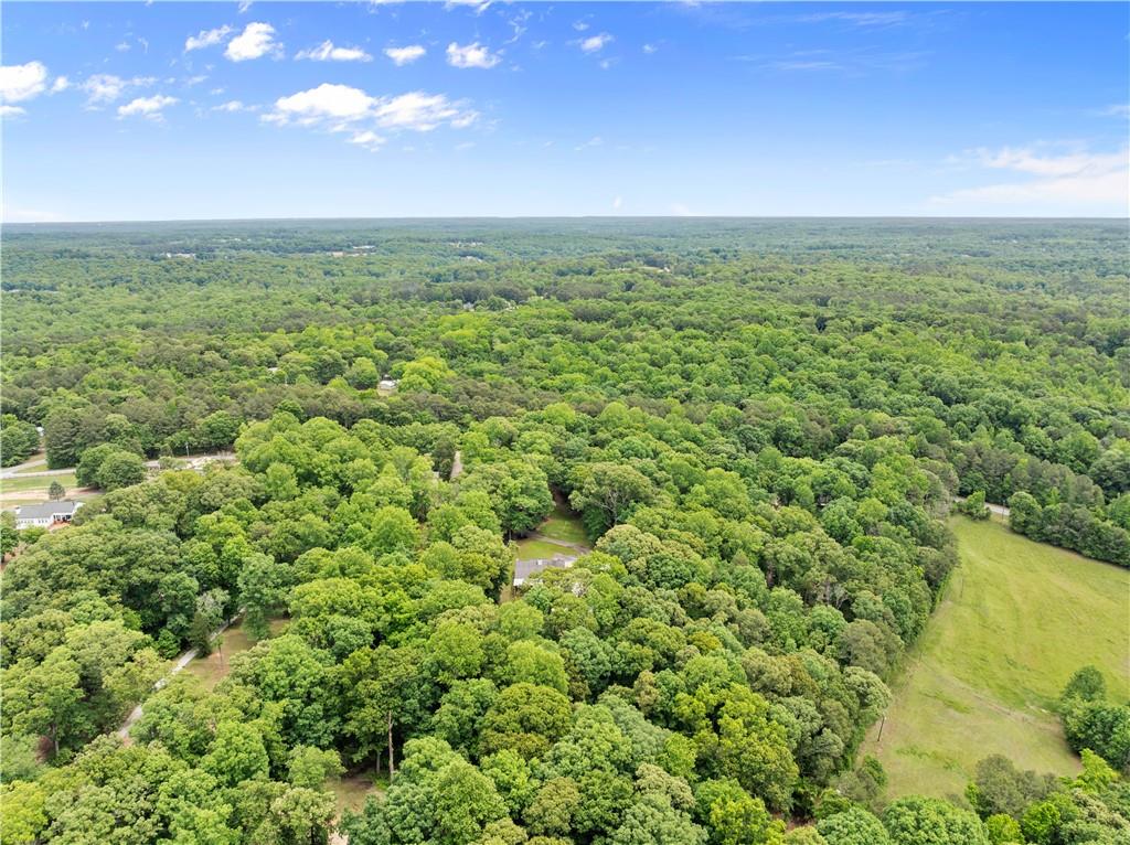 1405 Tapp Wood Road Hoschton, GA 30548 - Photo 43 of 44 a view of a green field with lots of bushes