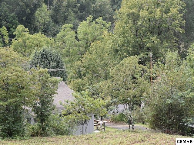 1618 Dixon Branch Road Sevierville, TN 37876 - Photo 13 of 19 Gallery Image 13