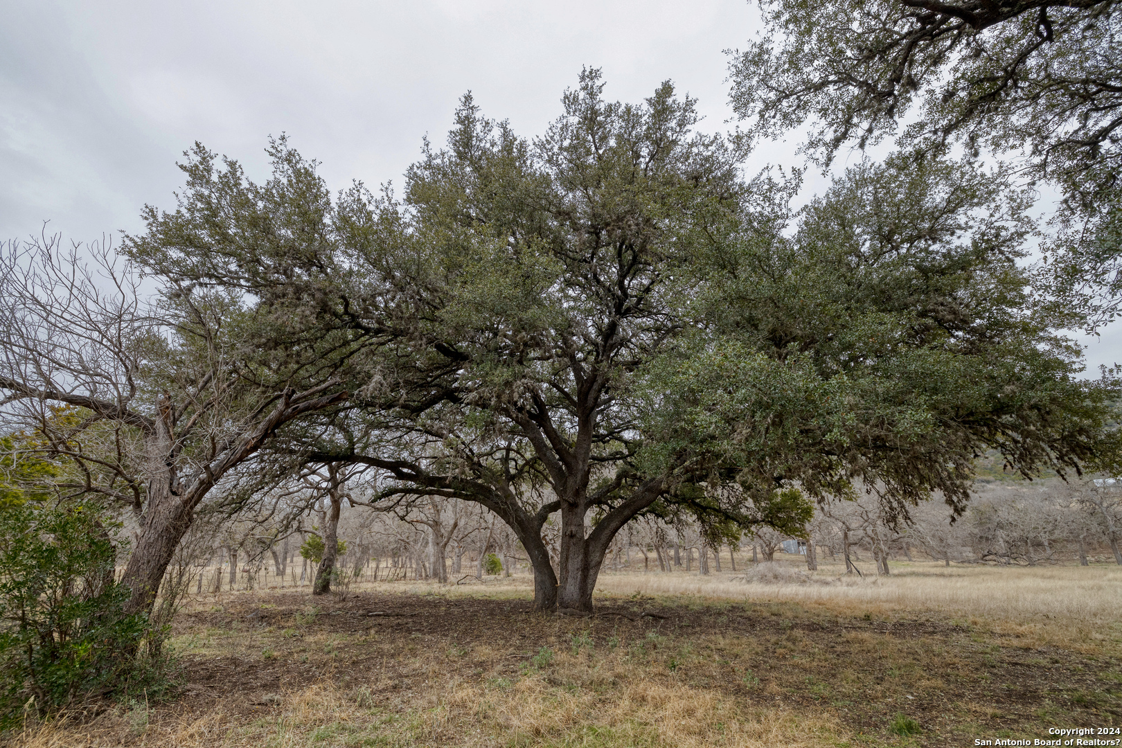 254 North Fork Bonner Road Leakey, TX 78873 - Photo 37 of 47 a view of outdoor space and yard