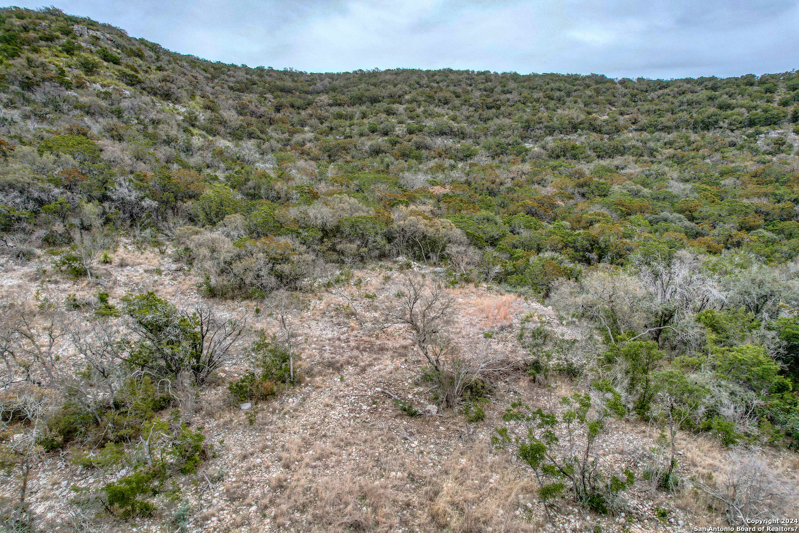 254 North Fork Bonner Road Leakey, TX 78873 - Photo 43 of 47 a view of a field with a forest