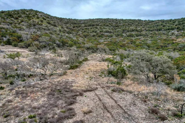 a view of a field with trees in front of house
