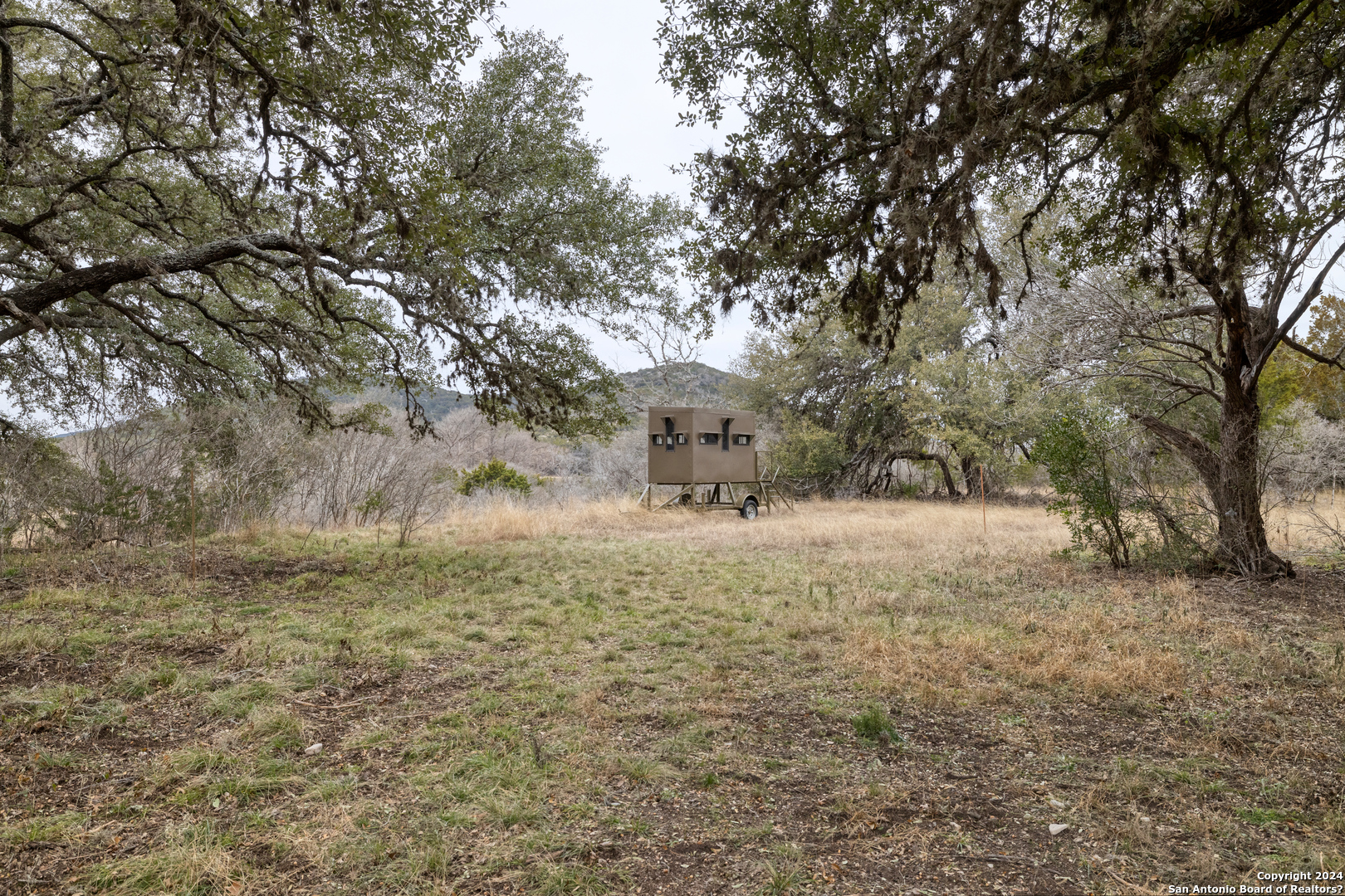 254 North Fork Bonner Road Leakey, TX 78873 - Photo 45 of 47 a view of a field with trees in front of house