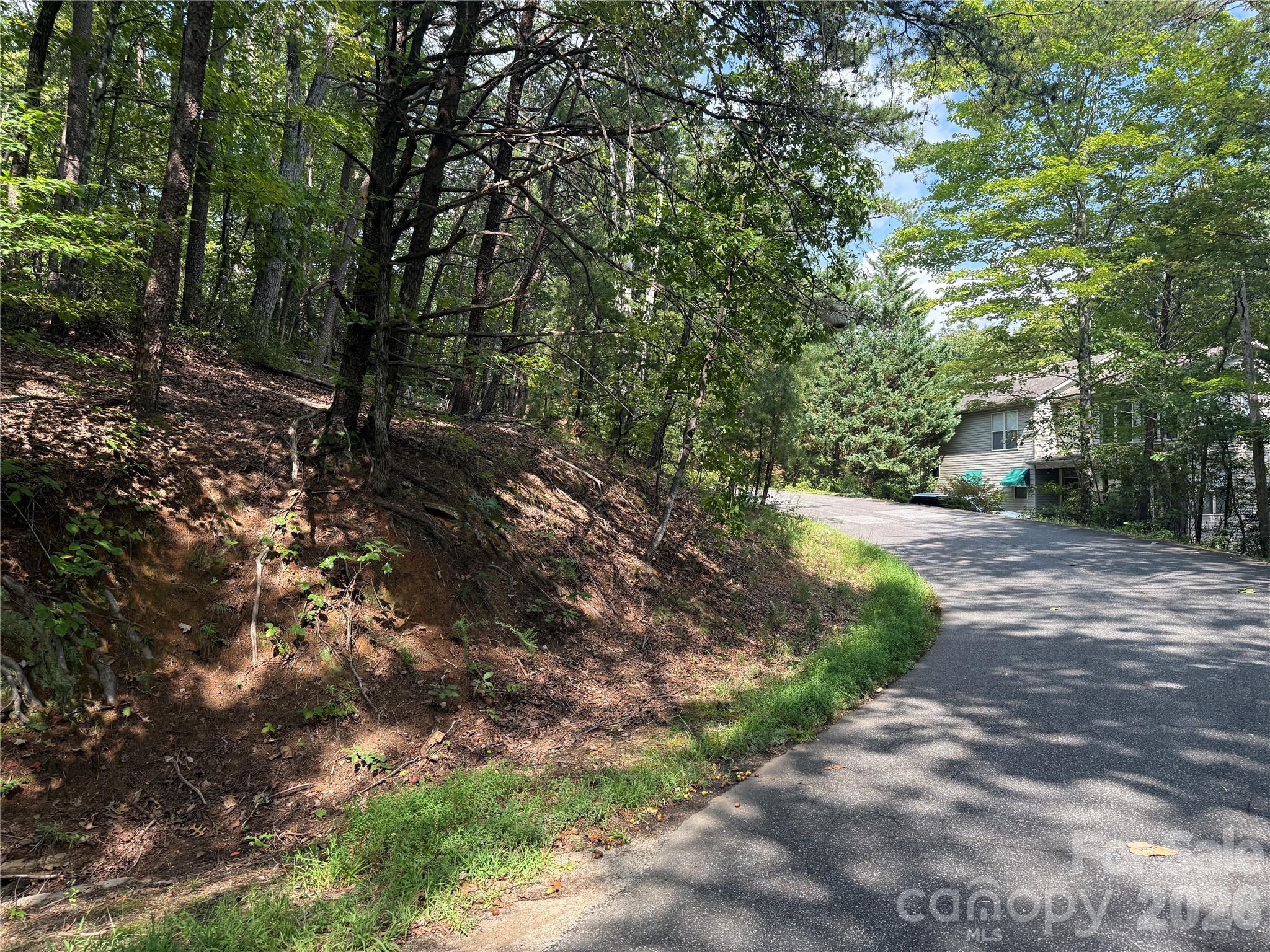Lot 35 Roundabout Road Lake Lure, NC 28746 - Photo 2 of 18 Gallery Image 2