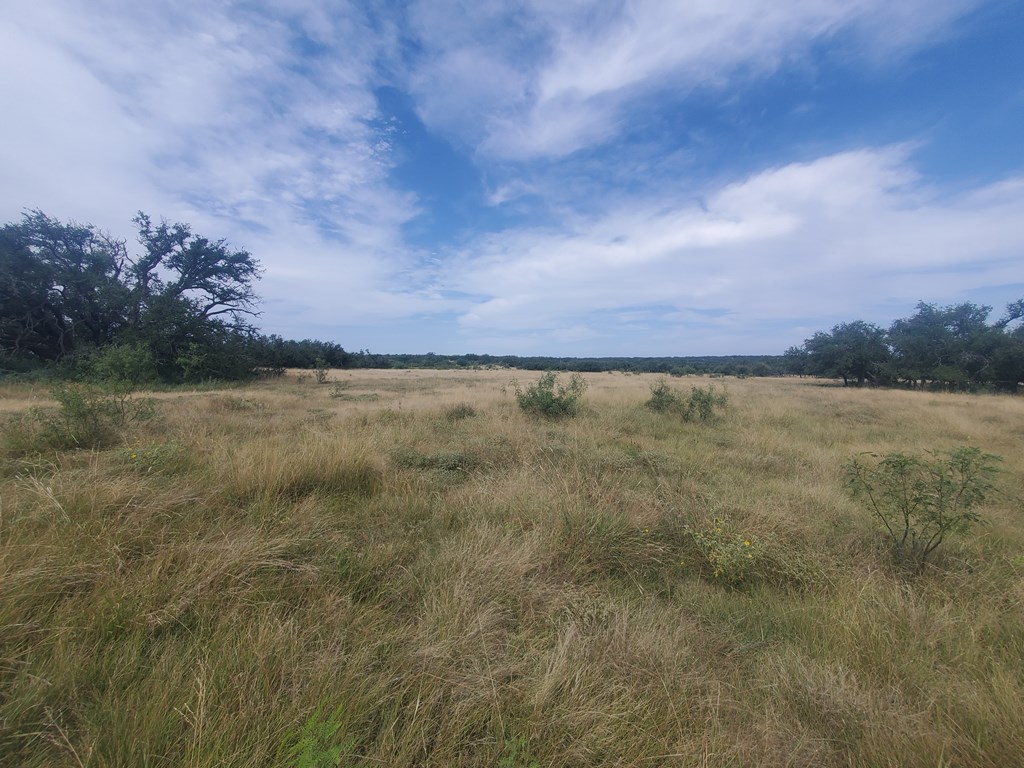 3 Axis Trail, Unit 3 Fort McKavett, TX 76841 - Photo 12 of 12 a view of lake with green space