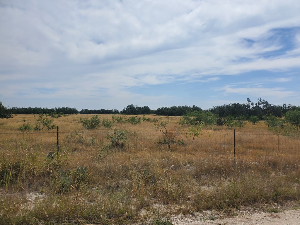 3 Axis Trail, Unit 3 Fort McKavett, TX 76841 - Photo 2 of 12 a view of a lake view