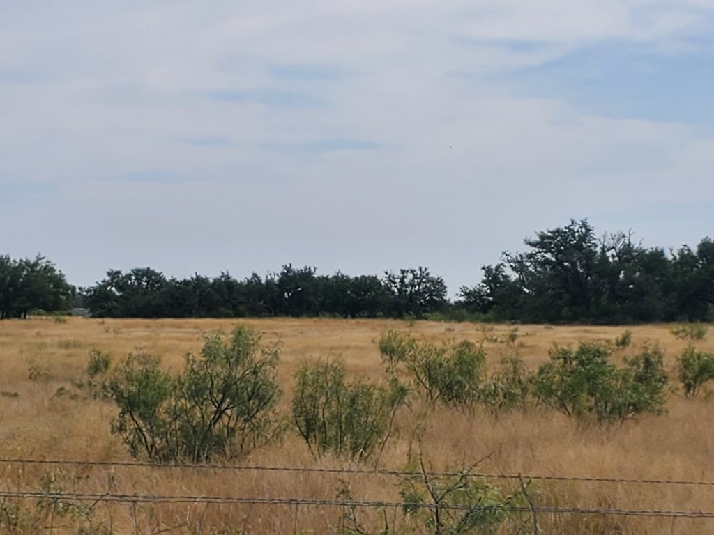 3 Axis Trail, Unit 3 Fort McKavett, TX 76841 - Photo 3 of 12 a view of lake and mountain