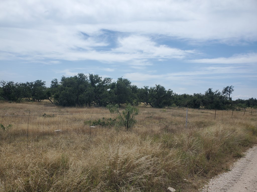 3 Axis Trail, Unit 3 Fort McKavett, TX 76841 - Photo 4 of 12 a view of a field with trees in background