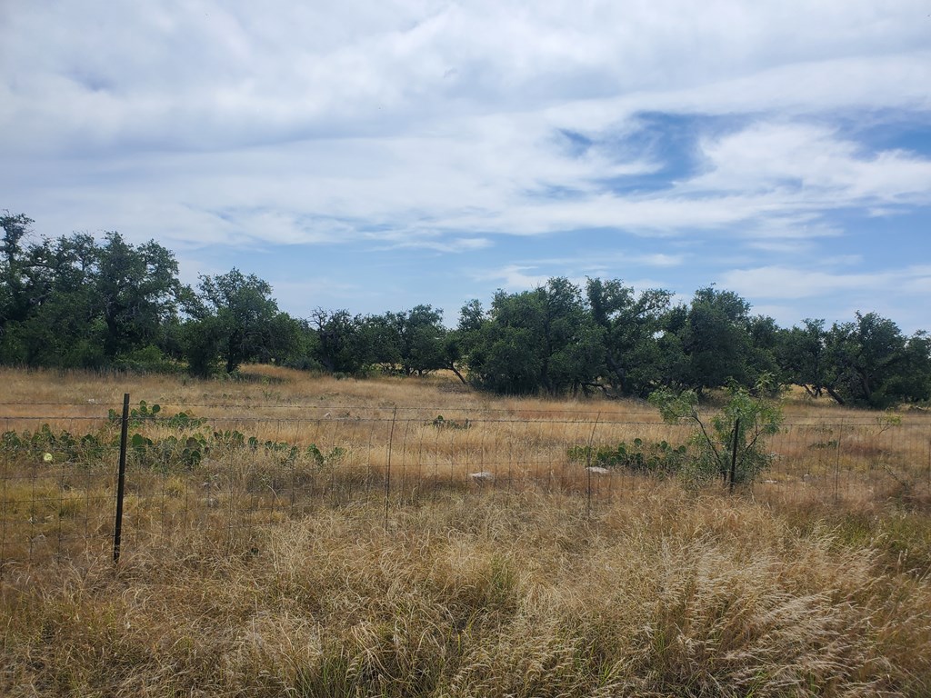 3 Axis Trail, Unit 3 Fort McKavett, TX 76841 - Photo 5 of 12