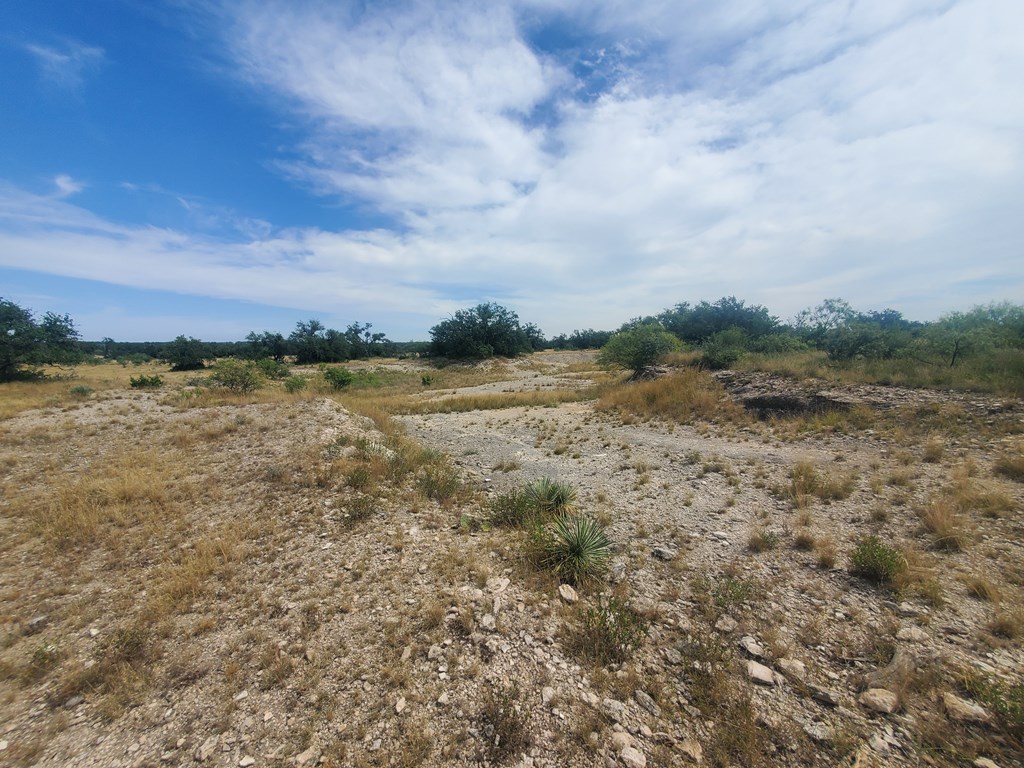 3 Axis Trail, Unit 3 Fort McKavett, TX 76841 - Photo 9 of 12 a view of a field with trees in background