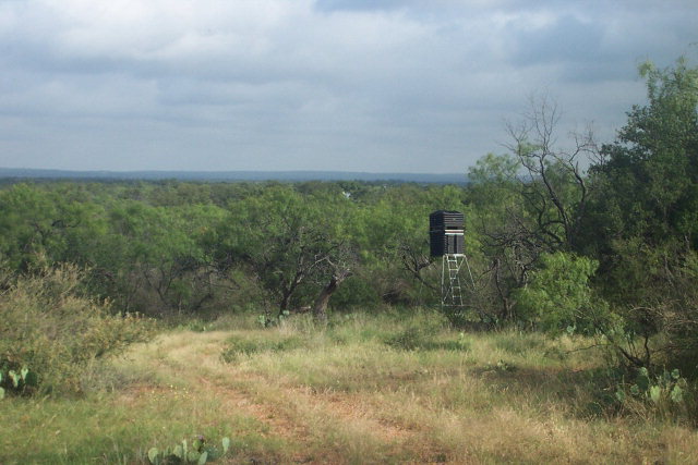 Main View