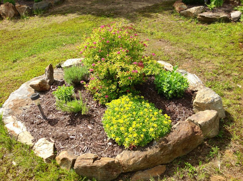 171 Little River Road Berwick, ME 03901 - Photo 8 of 35 Perennial garden