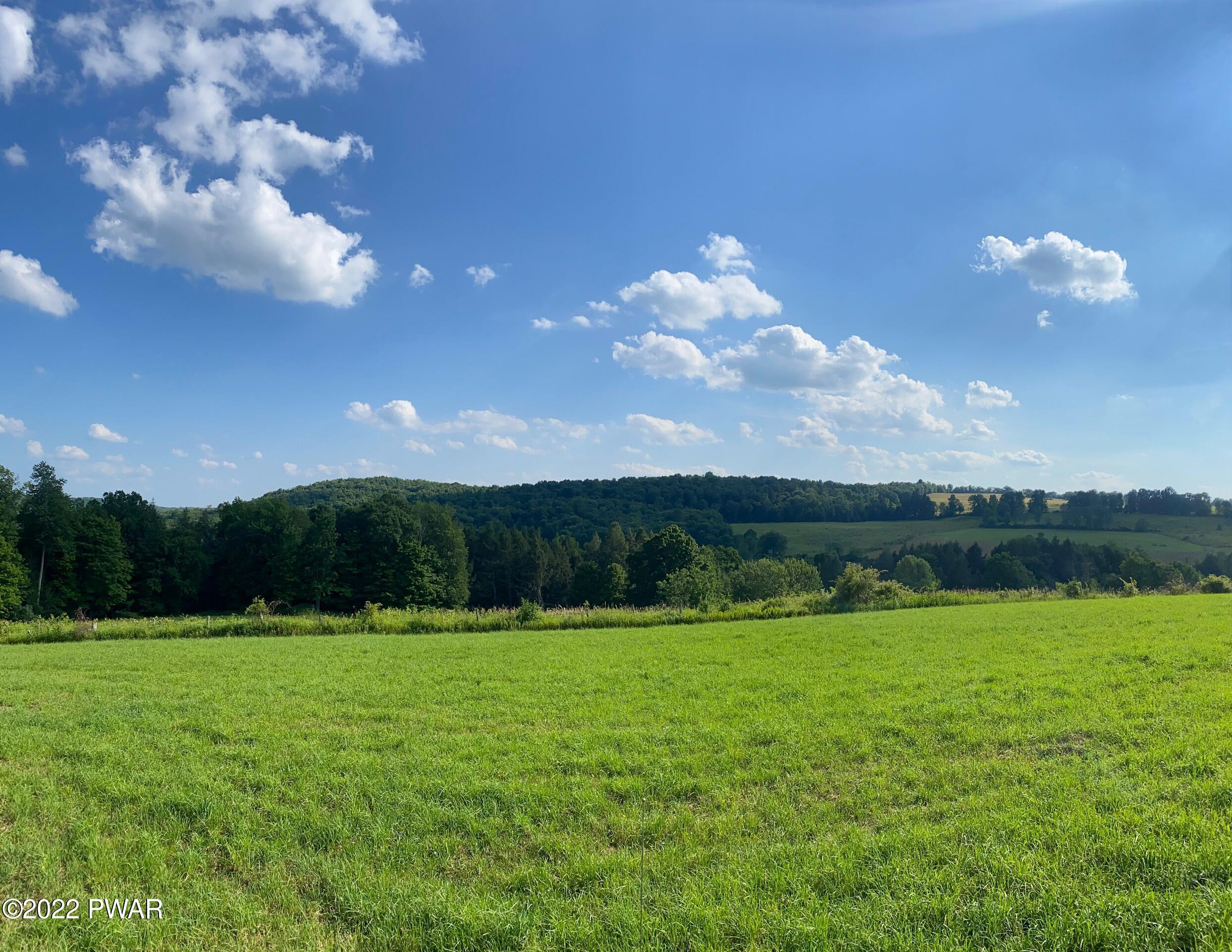 Calkins Road Milanville, PA 18443 - Photo 4 of 30