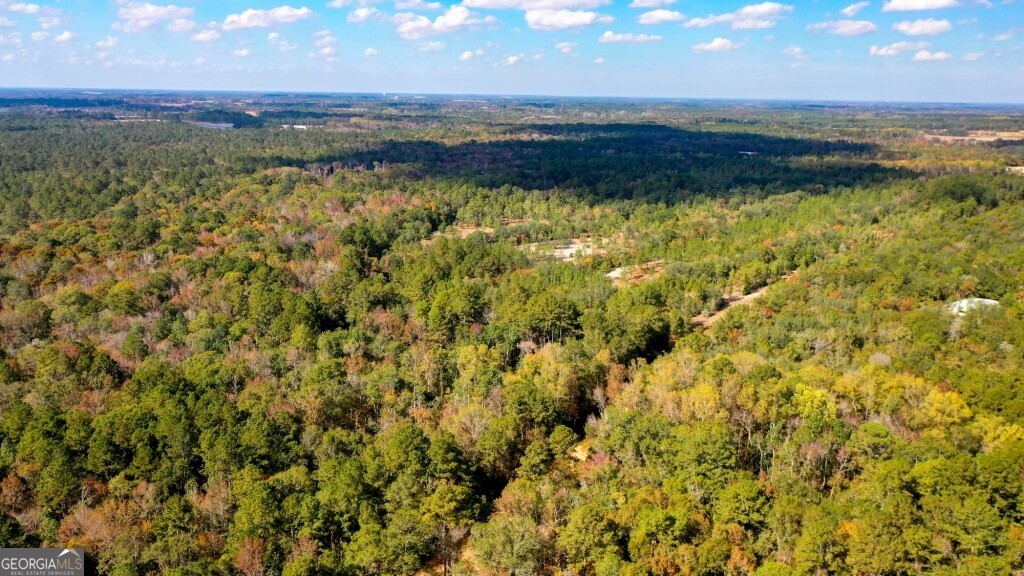 0 Twin Forks Rd/martin Road, Unit TRACT 2 Statesboro, GA 30458 - Photo 6 of 9 a view of a lake