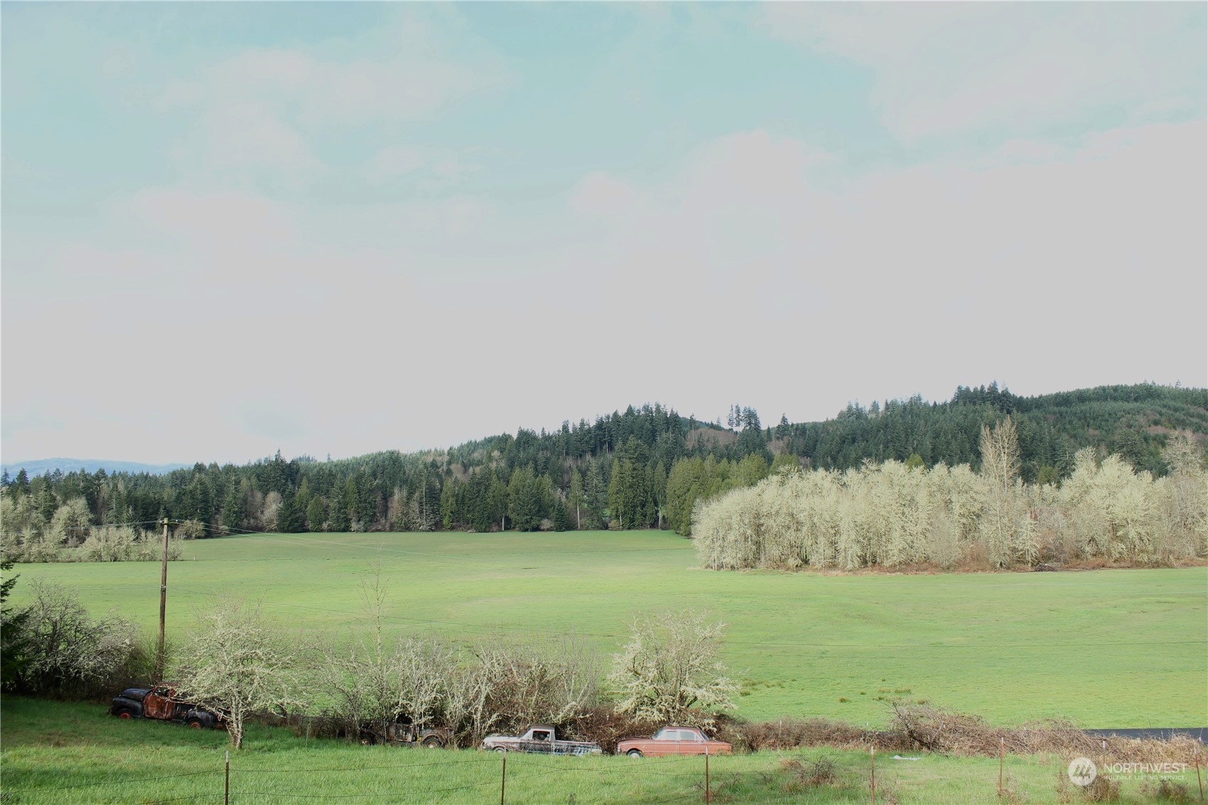 173 Hyppa Road South Rochester, WA 98579 - Photo 3 of 18