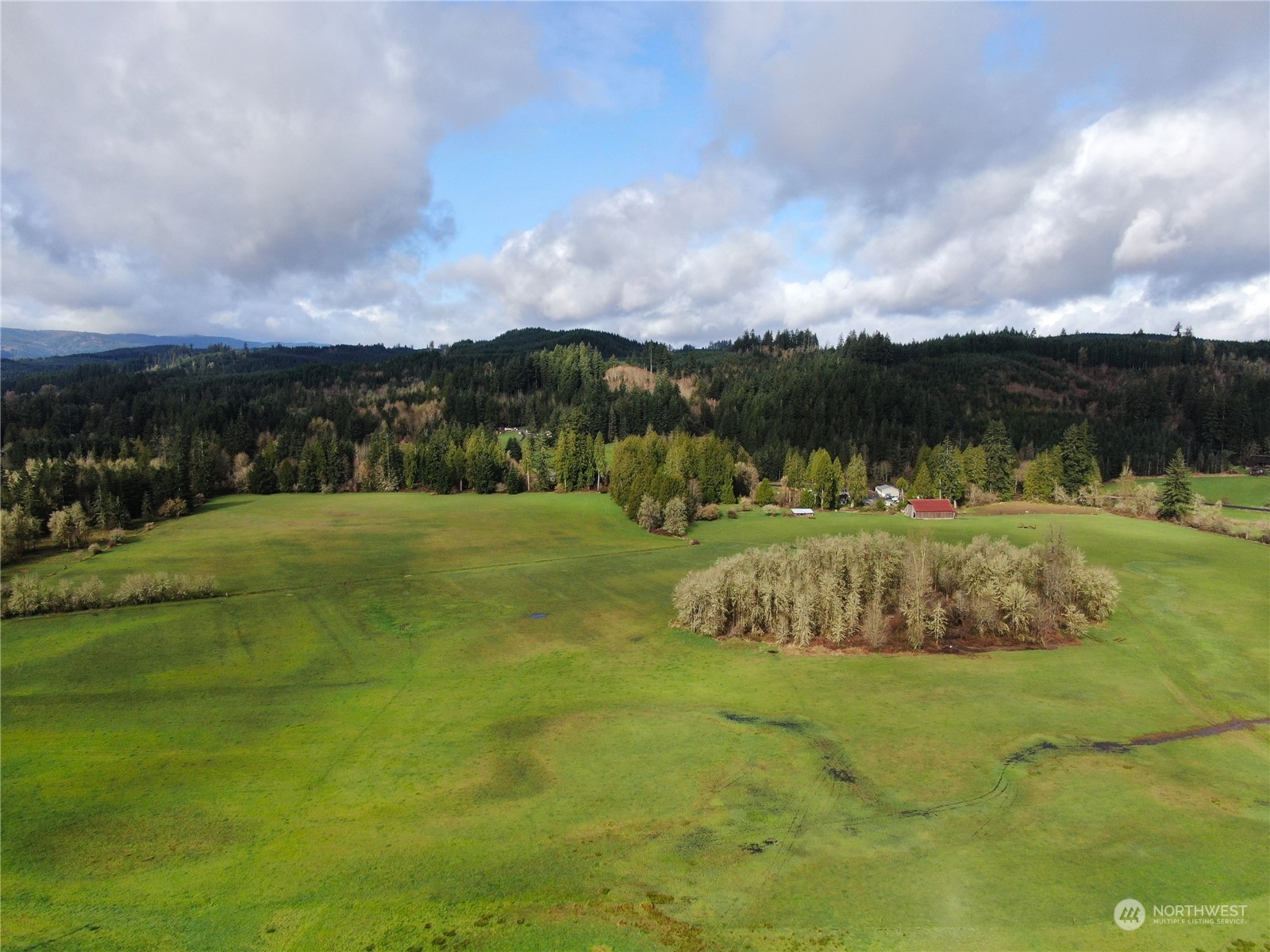 173 Hyppa Road South Rochester, WA 98579 - Photo 6 of 18