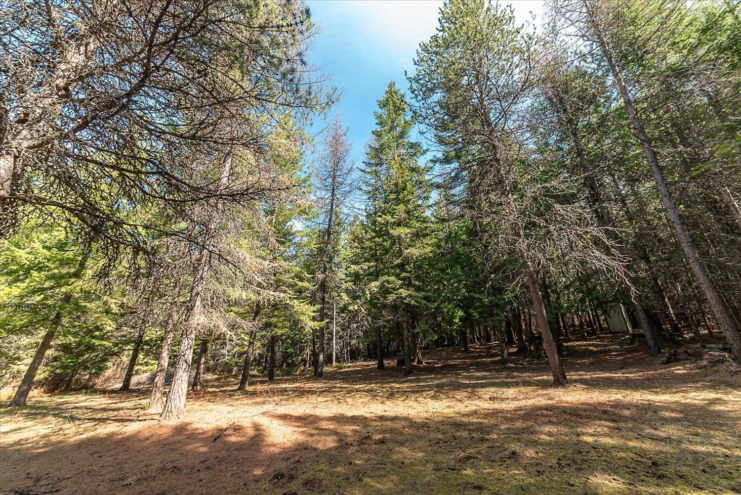 963 Thompson Road Elk, WA 99009 - Photo 22 of 30 Gallery Image 22