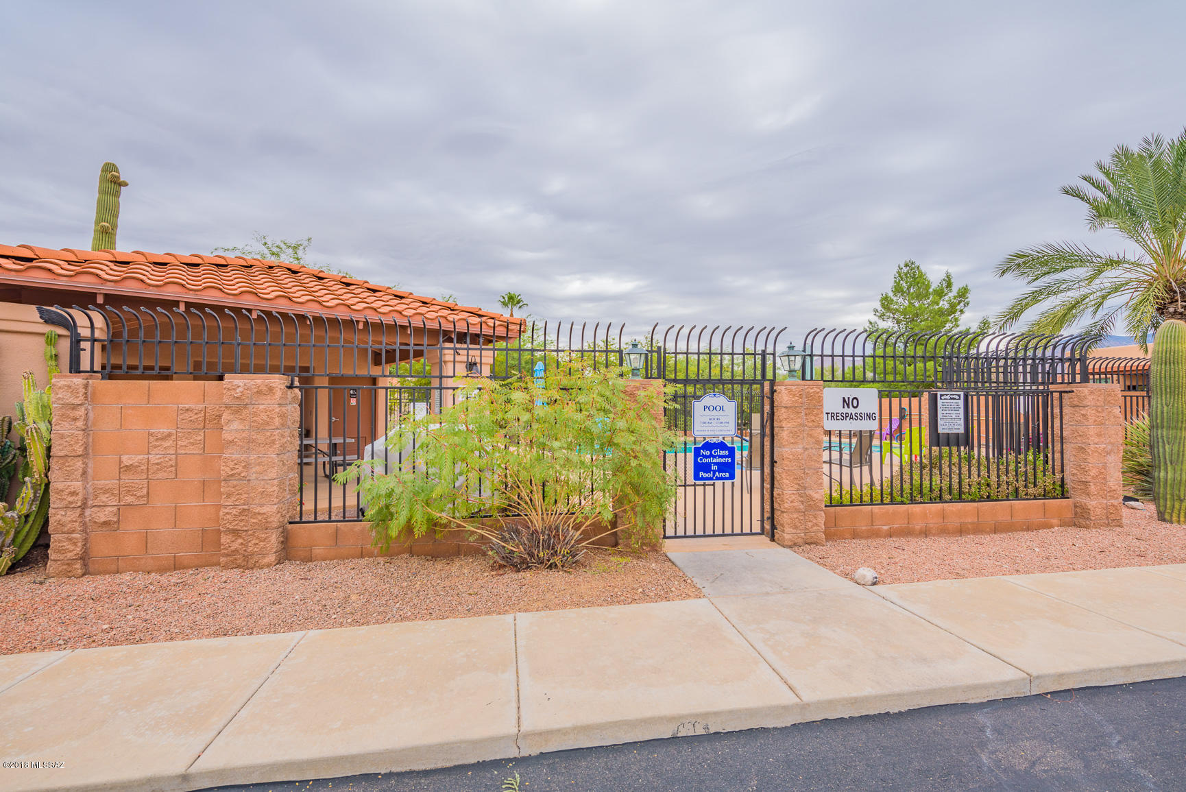 1269 West Hopbush Way Tucson, AZ 85704 - Photo 38 of 38