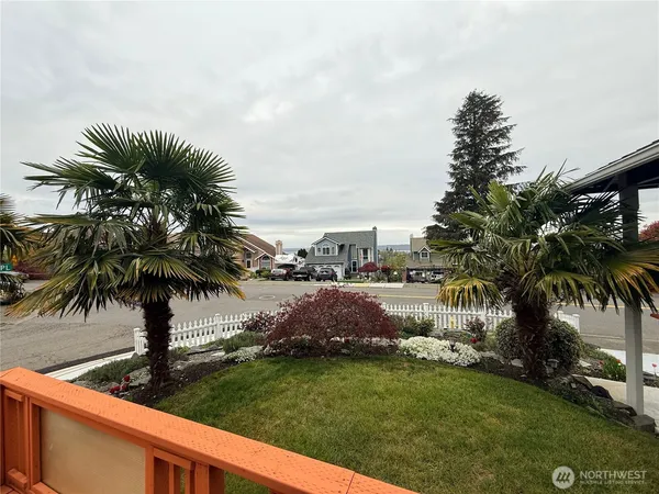 a view of a yard with palm trees