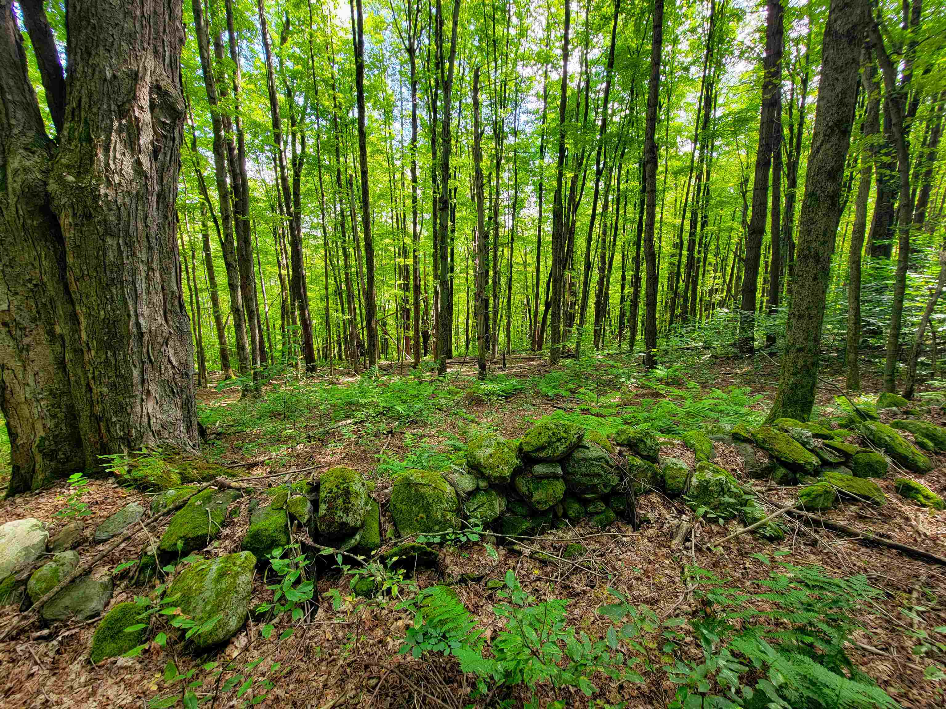2309 Sherman Hollow Road Huntington, VT 05462 - Photo 23 of 51 Gallery Image 23