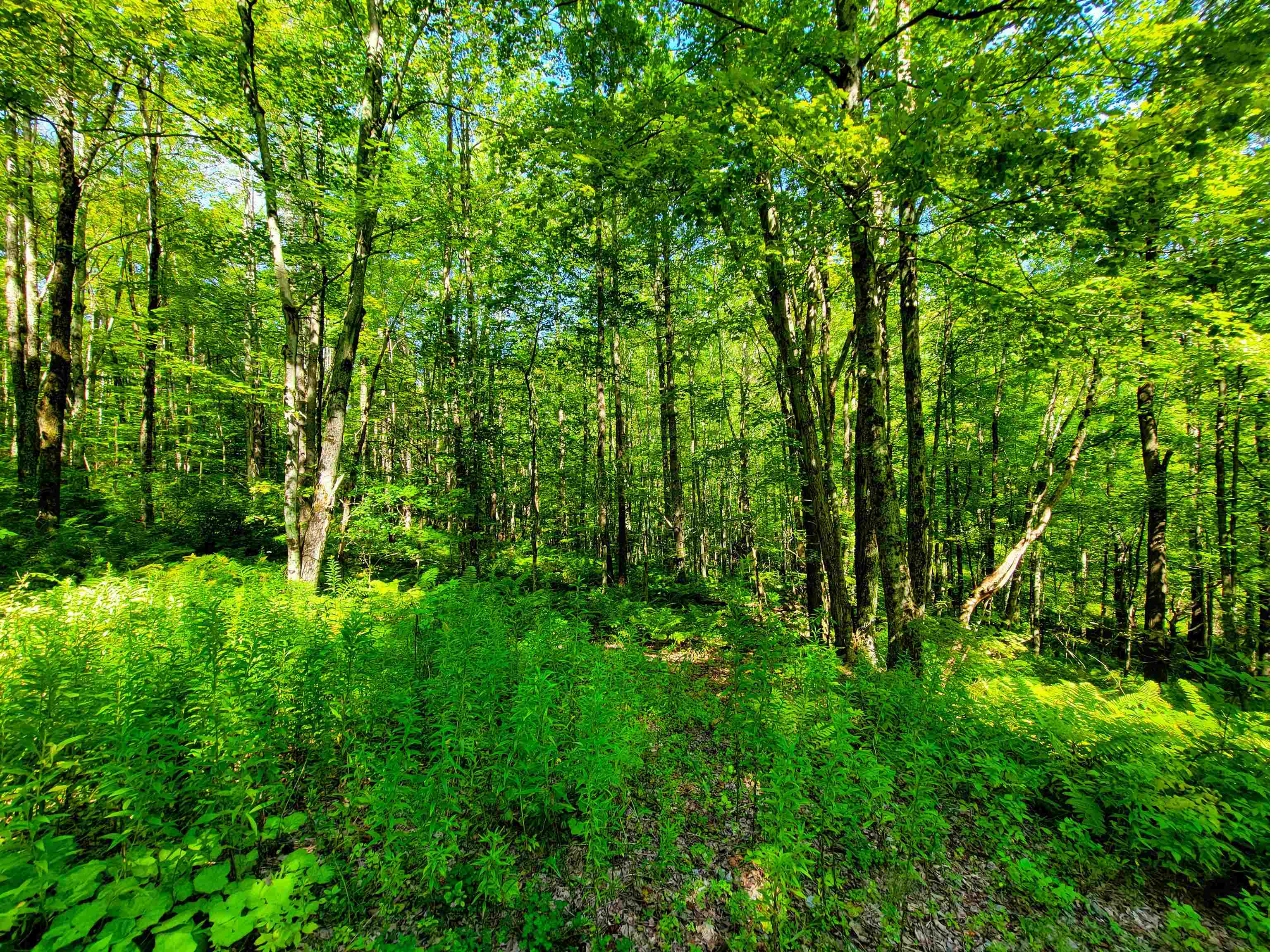 2309 Sherman Hollow Road Huntington, VT 05462 - Photo 25 of 51 Gallery Image 25