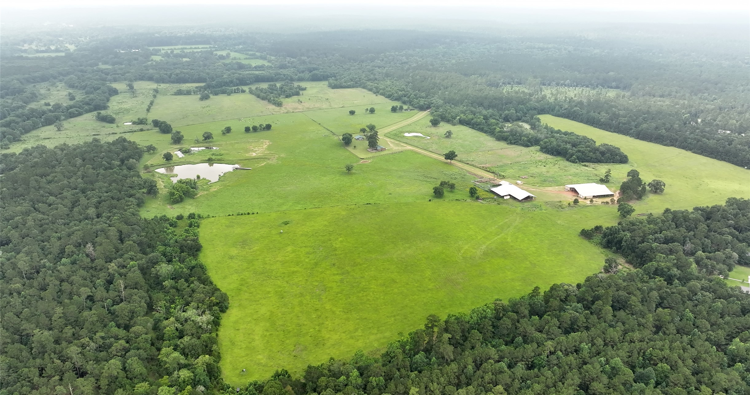 44 Bucking Bull Road Huntsville, TX 77340 - Photo 11 of 50 Gallery Image 11
