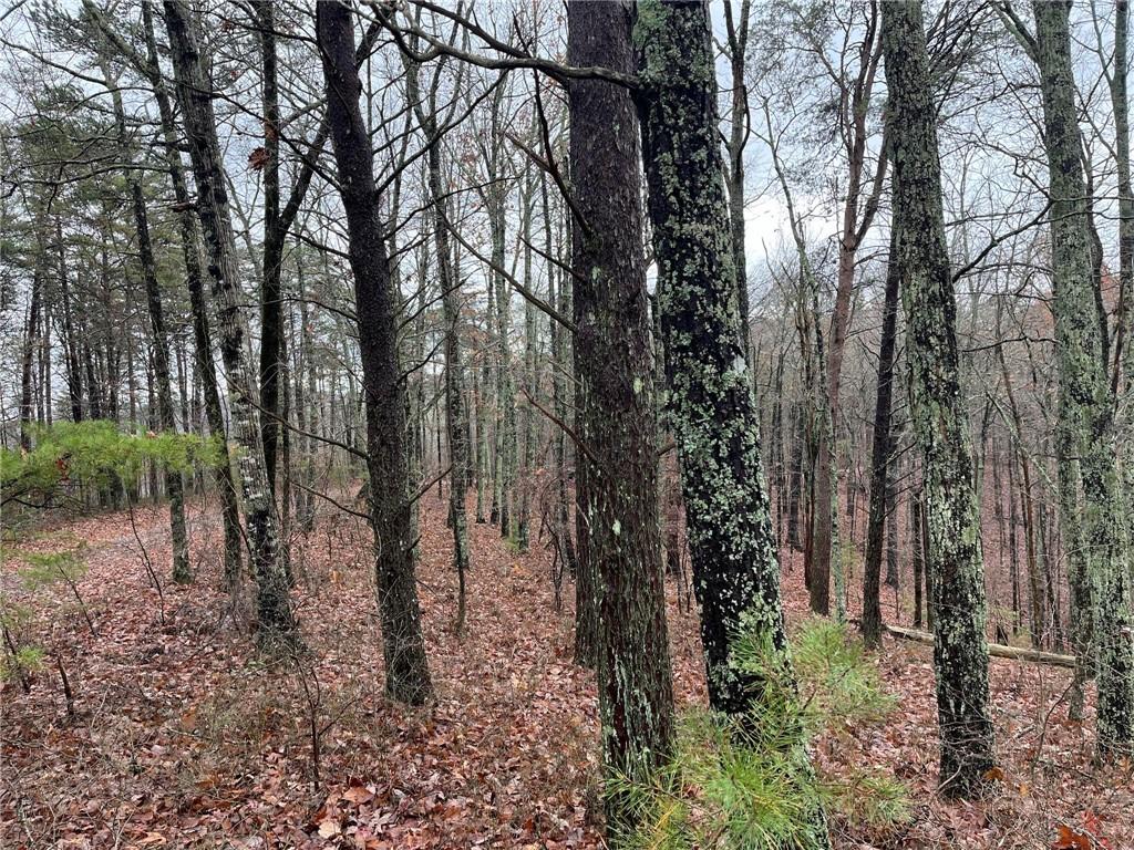 1450 Hanna Drive Ranger, GA 30734 - Photo 5 of 27