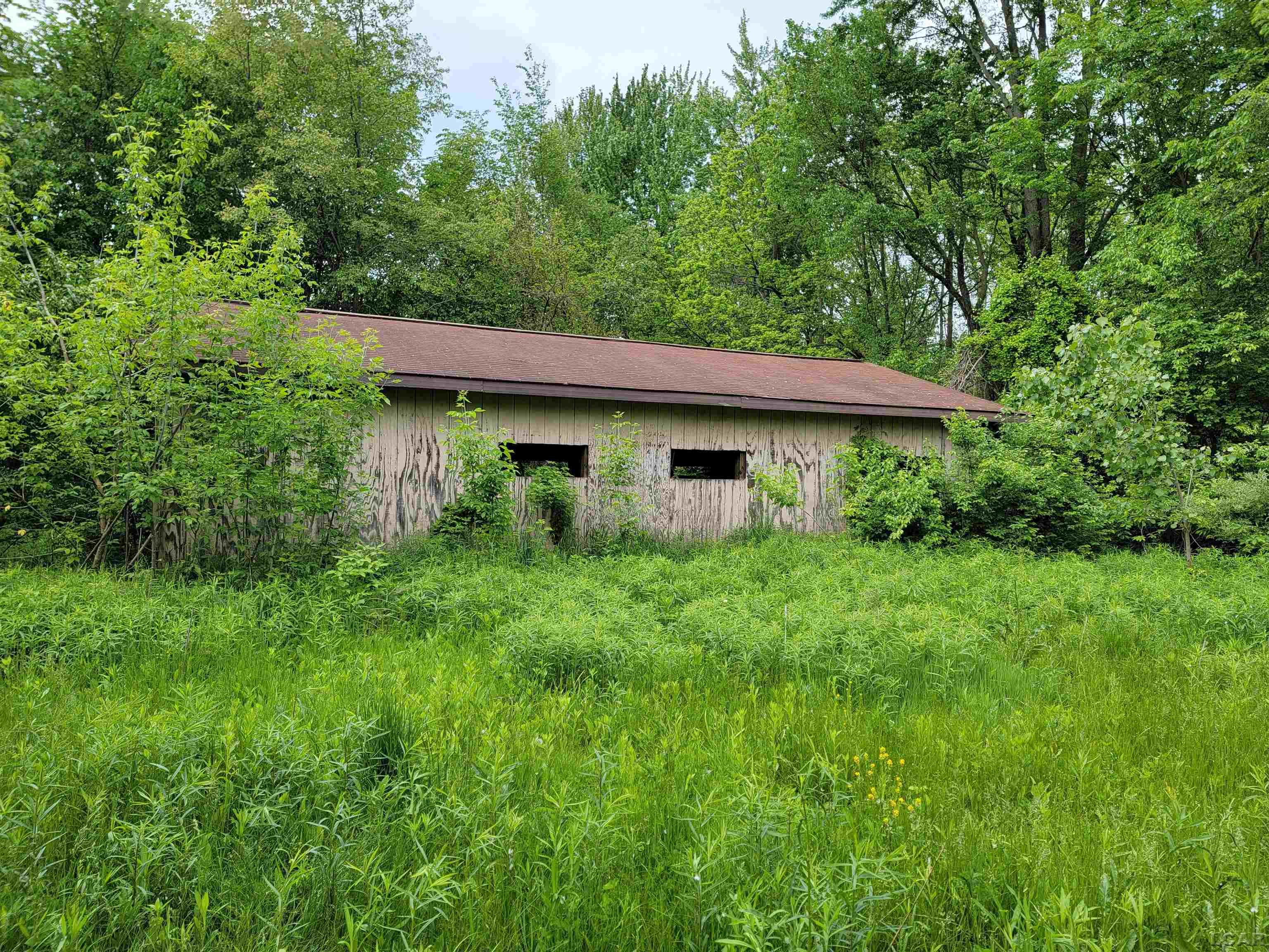 8583 East Monroe Road Britton, MI 49229 - Photo 4 of 38