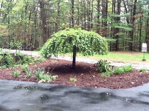 3 Sargent Road Bolton, MA 01740 - Photo 20 of 20