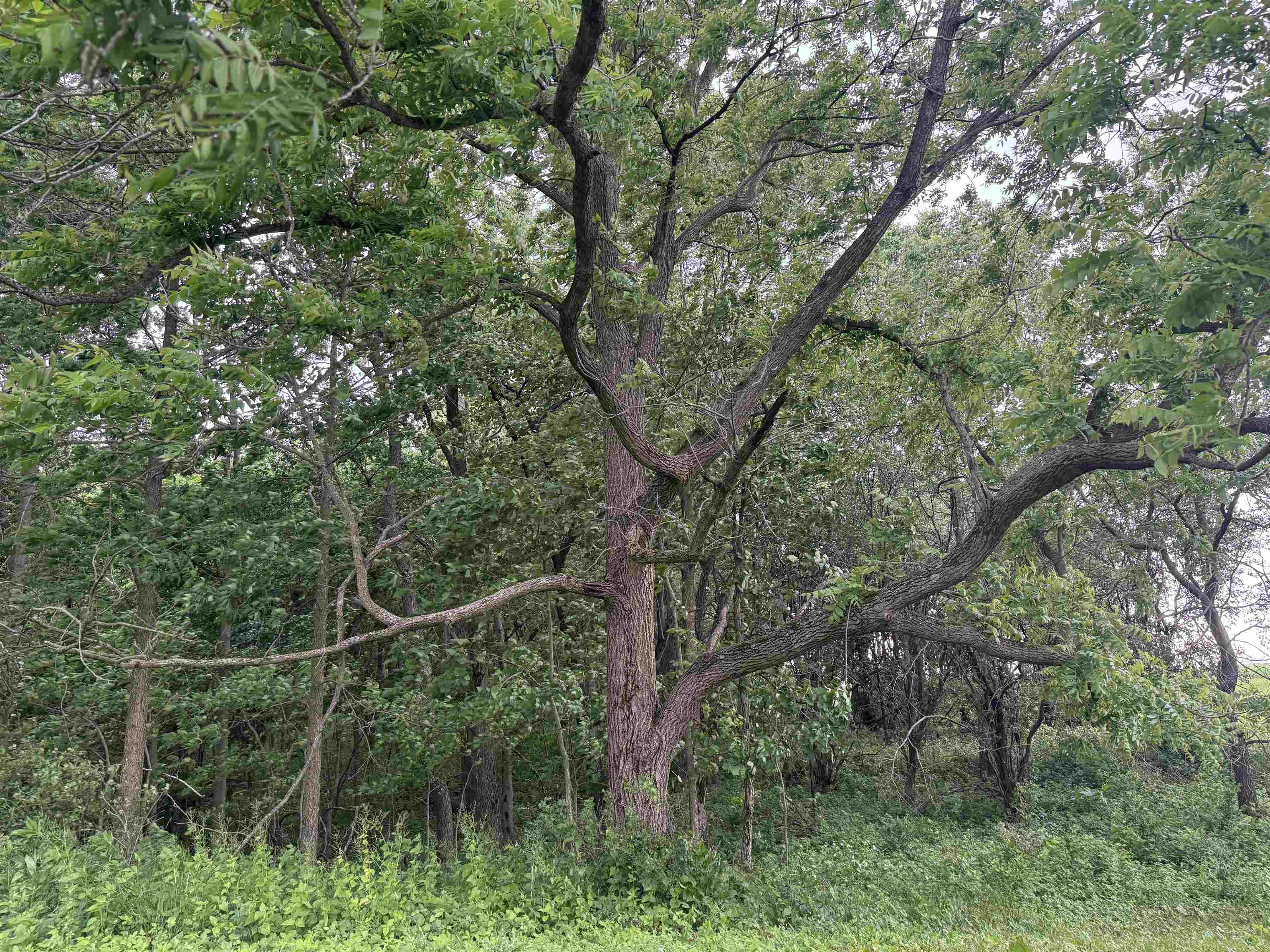 2300 Afton Road Janesville, WI 53548 - Photo 22 of 56