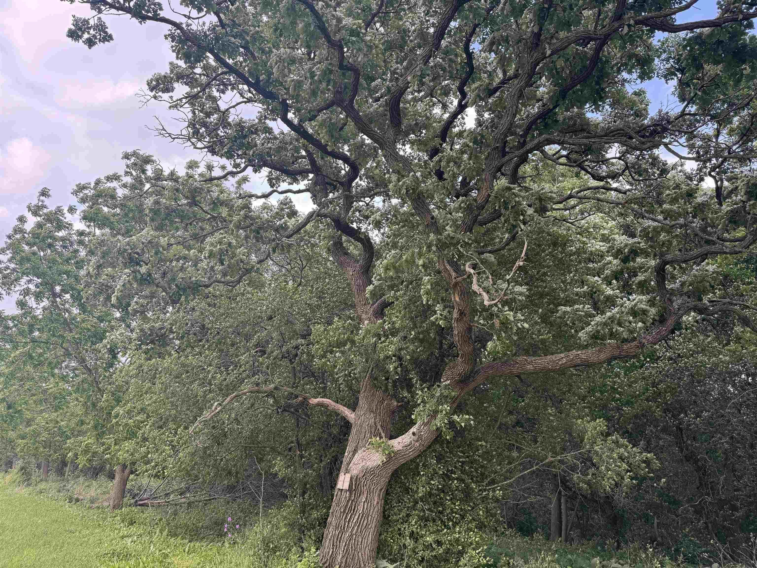 2300 Afton Road Janesville, WI 53548 - Photo 23 of 56