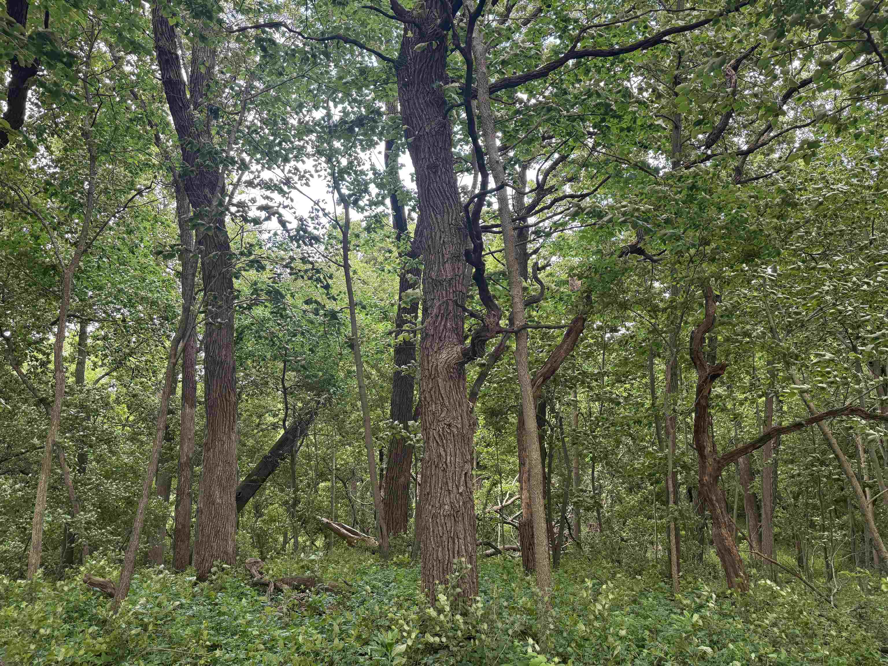 2300 Afton Road Janesville, WI 53548 - Photo 24 of 56