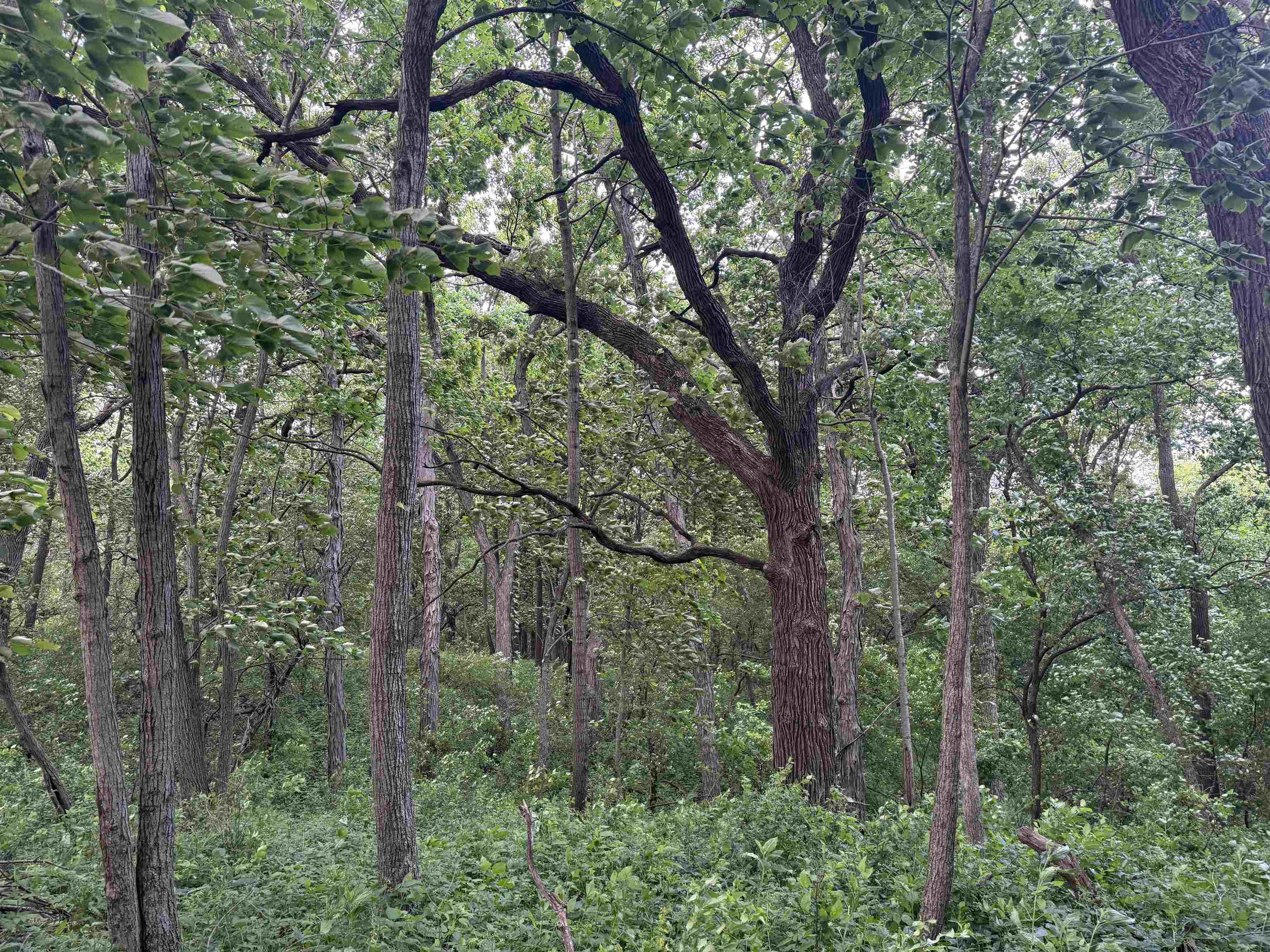 2300 Afton Road Janesville, WI 53548 - Photo 25 of 56