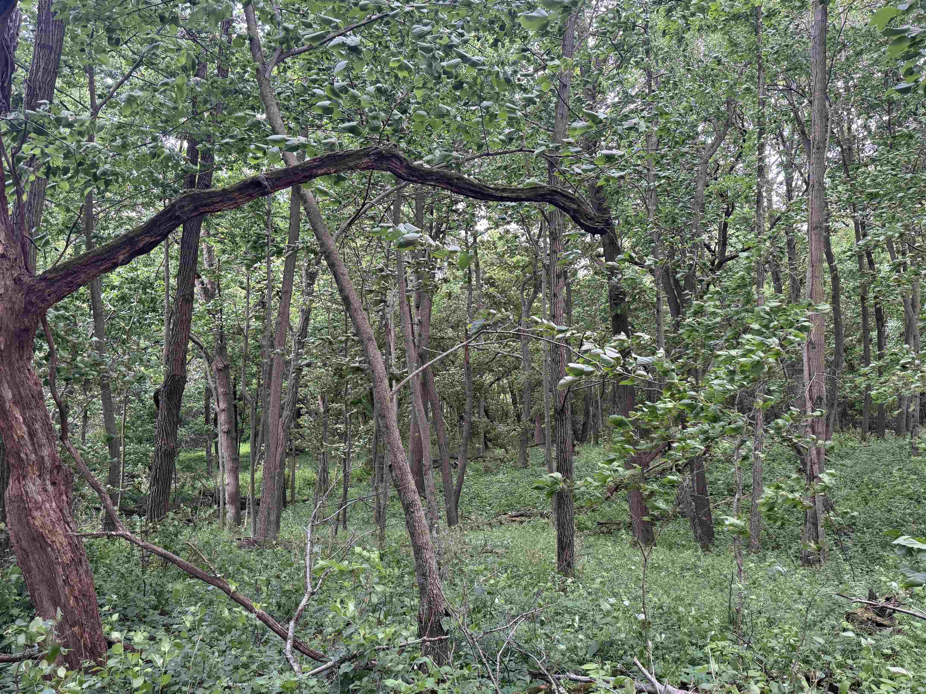 2300 Afton Road Janesville, WI 53548 - Photo 26 of 56