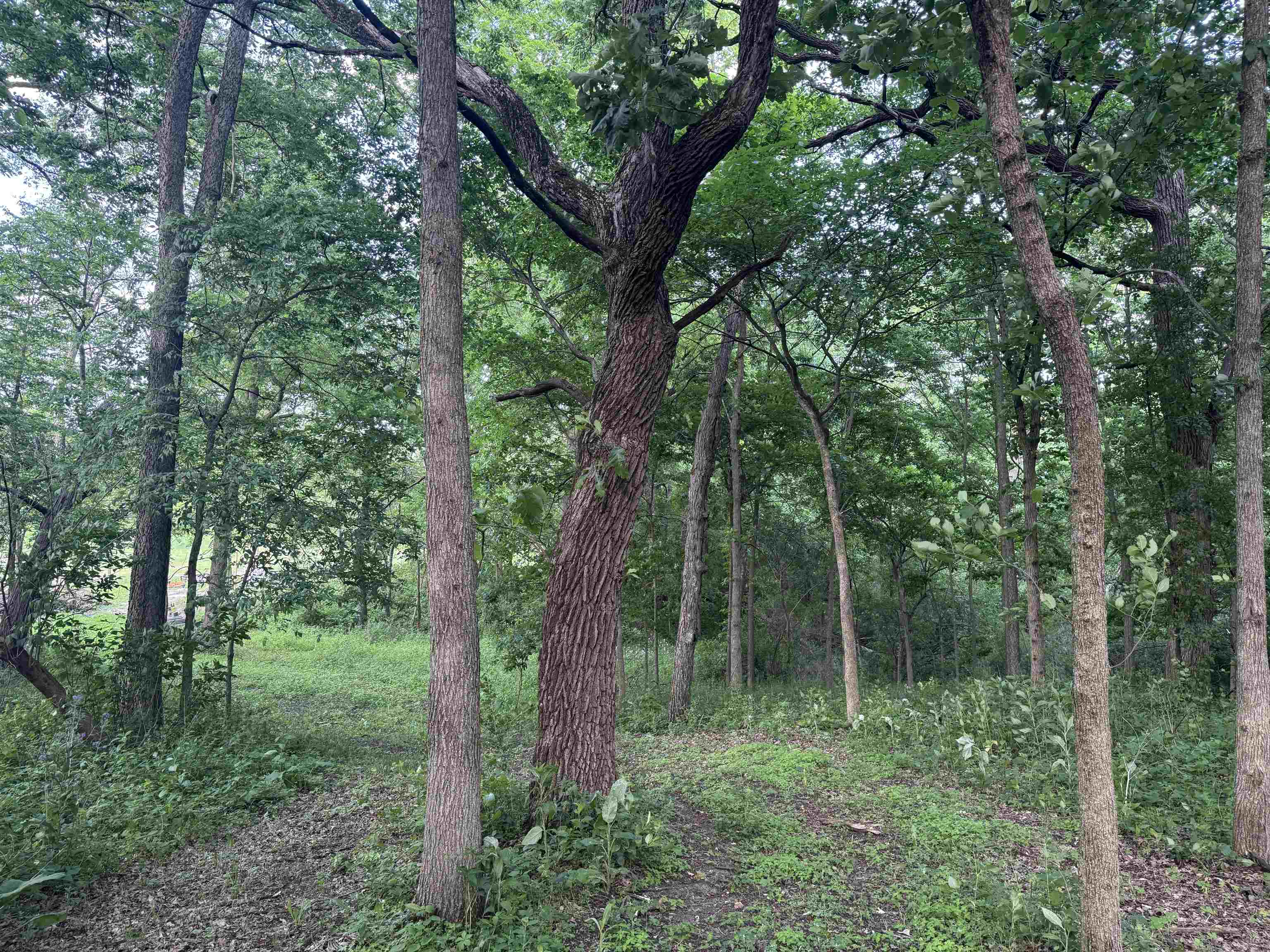 2300 Afton Road Janesville, WI 53548 - Photo 32 of 56