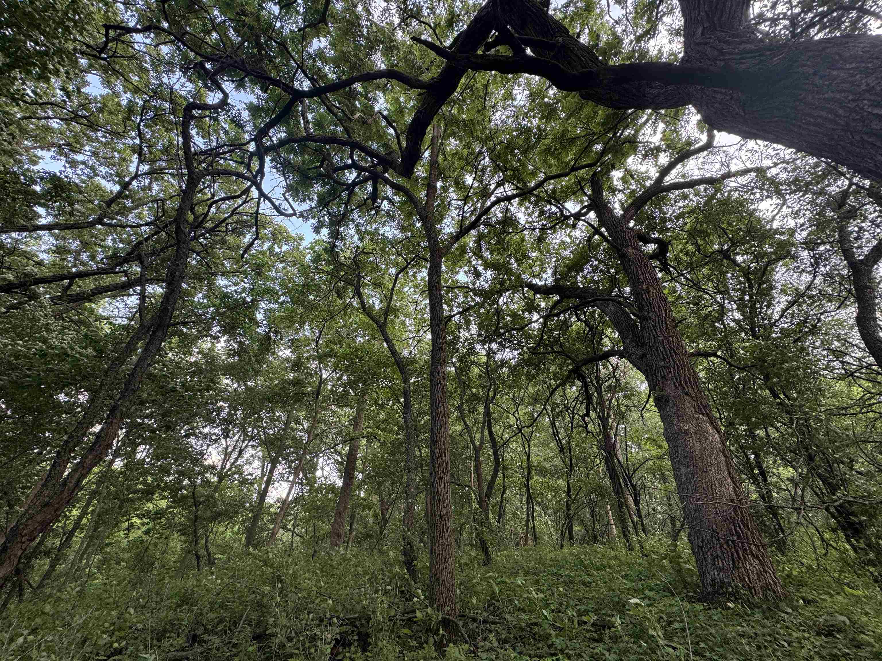 2300 Afton Road Janesville, WI 53548 - Photo 34 of 56