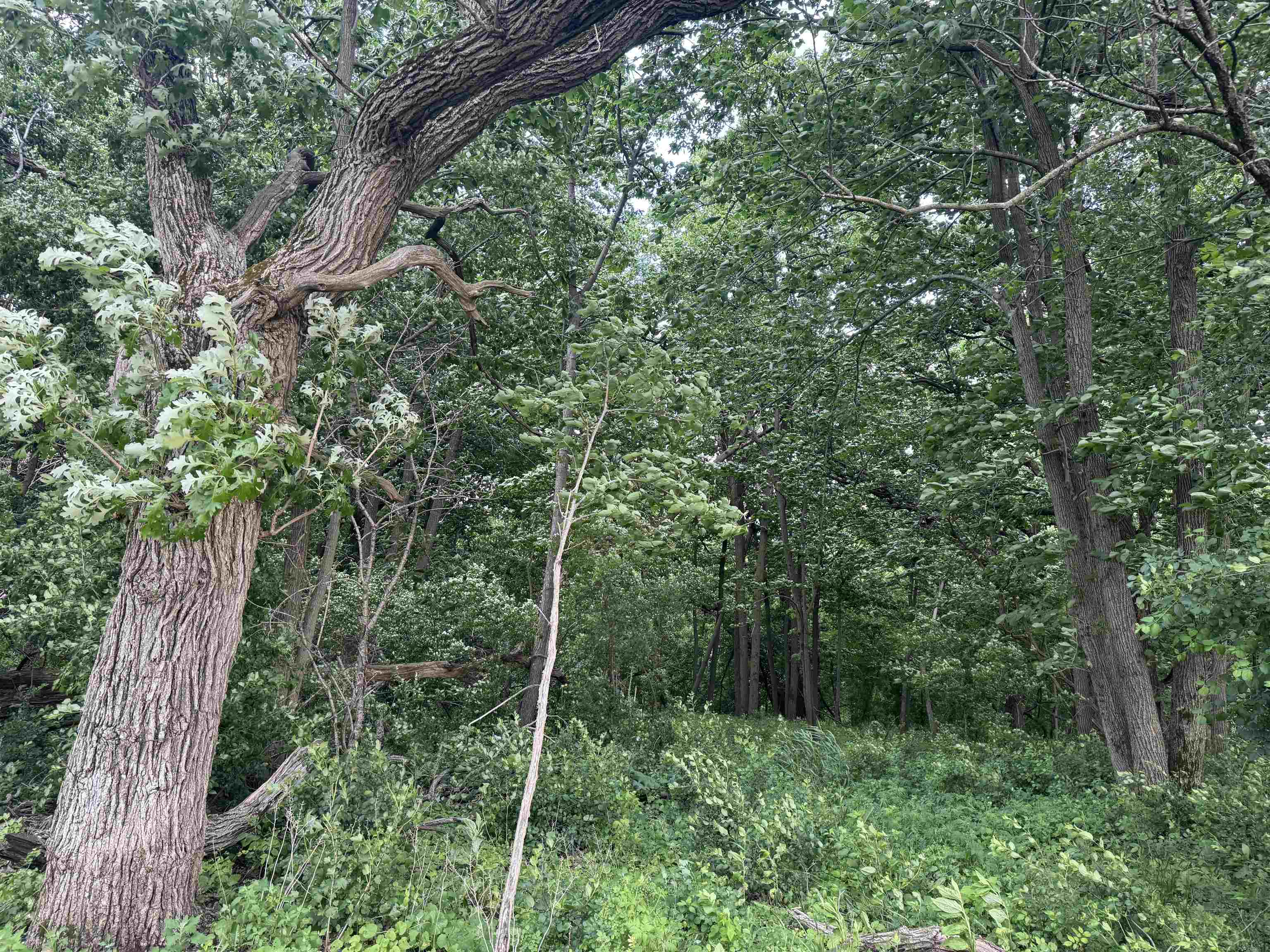 2300 Afton Road Janesville, WI 53548 - Photo 35 of 56