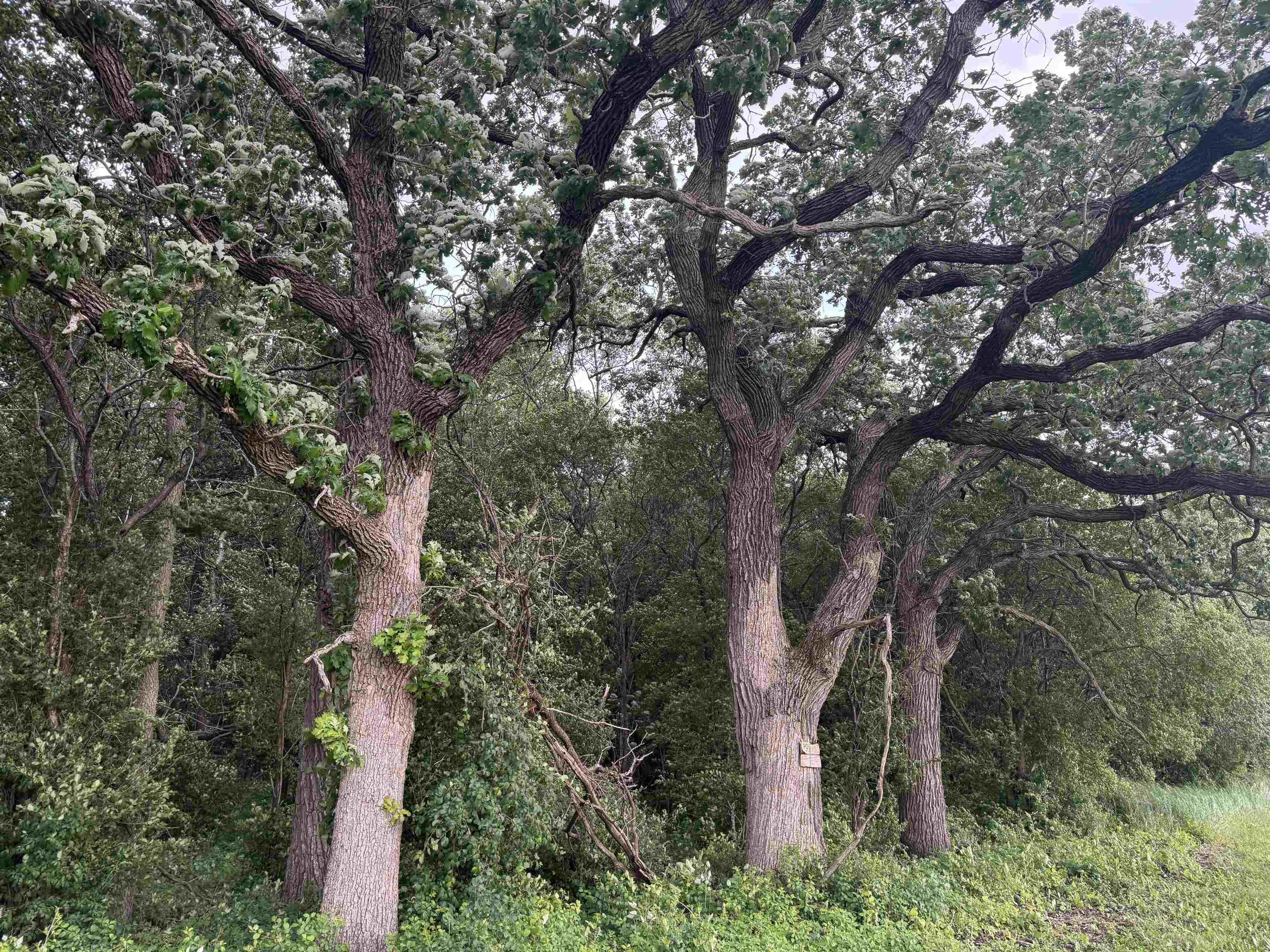 2300 Afton Road Janesville, WI 53548 - Photo 36 of 56